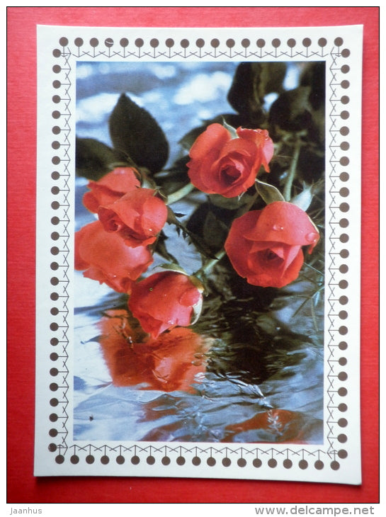 red roses 2 - flowers - Czechoslovakia - unused - JH Postcards