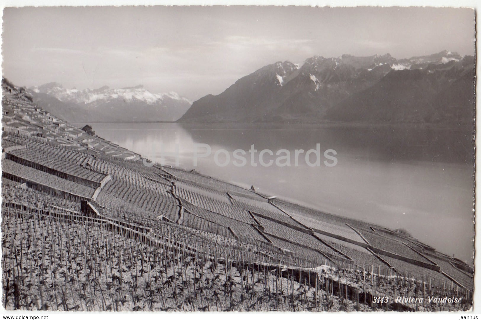 Riviera Vaudoise - 3443 - Switzerland - 1958 - used - JH Postcards