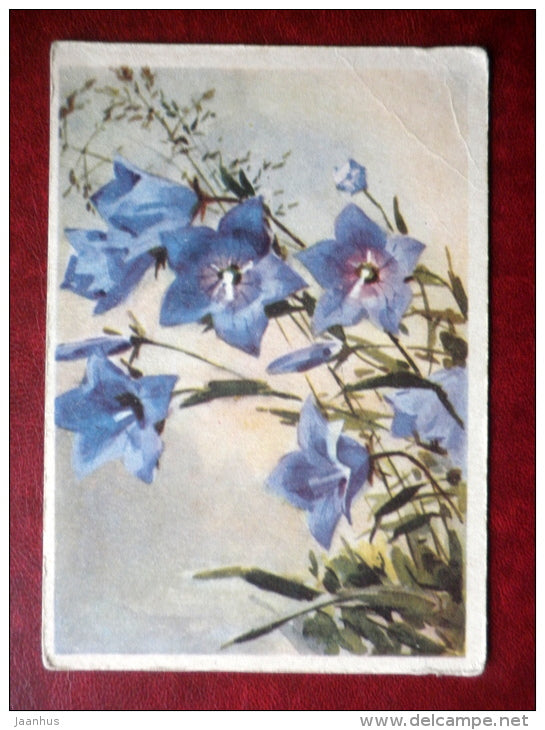 Greeting Card - by U. Külv - bellflowers - flowers - 1963 - Estonia USSR - used - JH Postcards