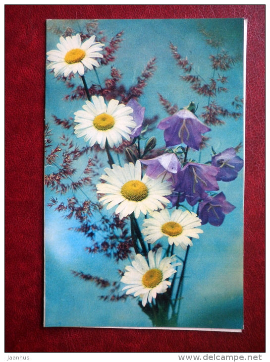 Greeting Card - daisies - flowers - 1982 - Russia USSR - used - JH Postcards