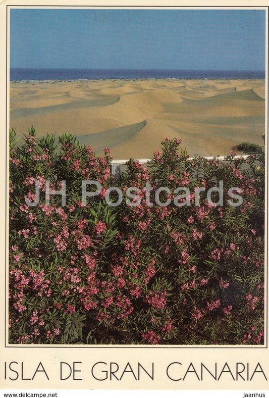 Isla de Gran Canaria - Maspalomas Sand-Dunes - 6 - Spain - used - JH Postcards