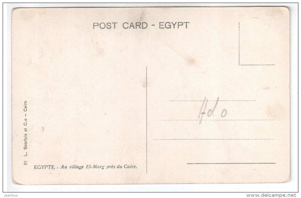 At El-Marg Village near Cairo - camel - 51 - Egypt - old postcard - unused - JH Postcards