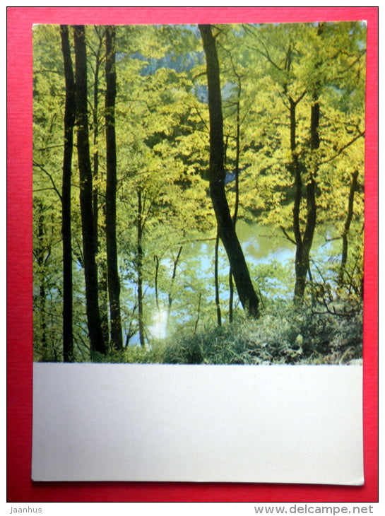 Autumn in Sigulda - Sigulda - Latvia USSR - unused - JH Postcards