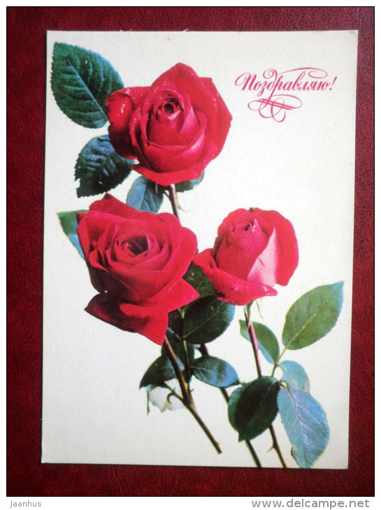 Greeting Card - red roses 1 - flowers - 1977 - Russia USSR - used - JH Postcards