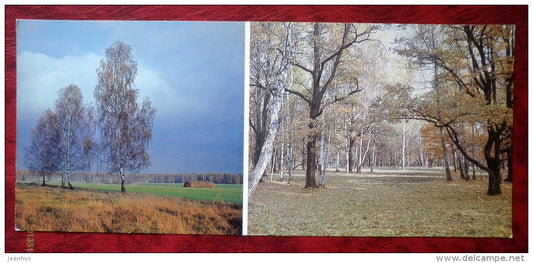 Anton Chekhov museum in Melikhovo - Melikhovo area - Sazokhin forest - 1984 - Russia - USSR - unused - JH Postcards