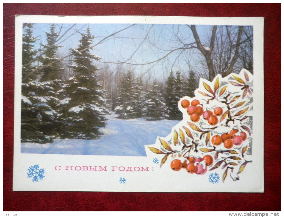 New Year greeting card - firs - rowan berries - 1975 - Russia USSR - used - JH Postcards