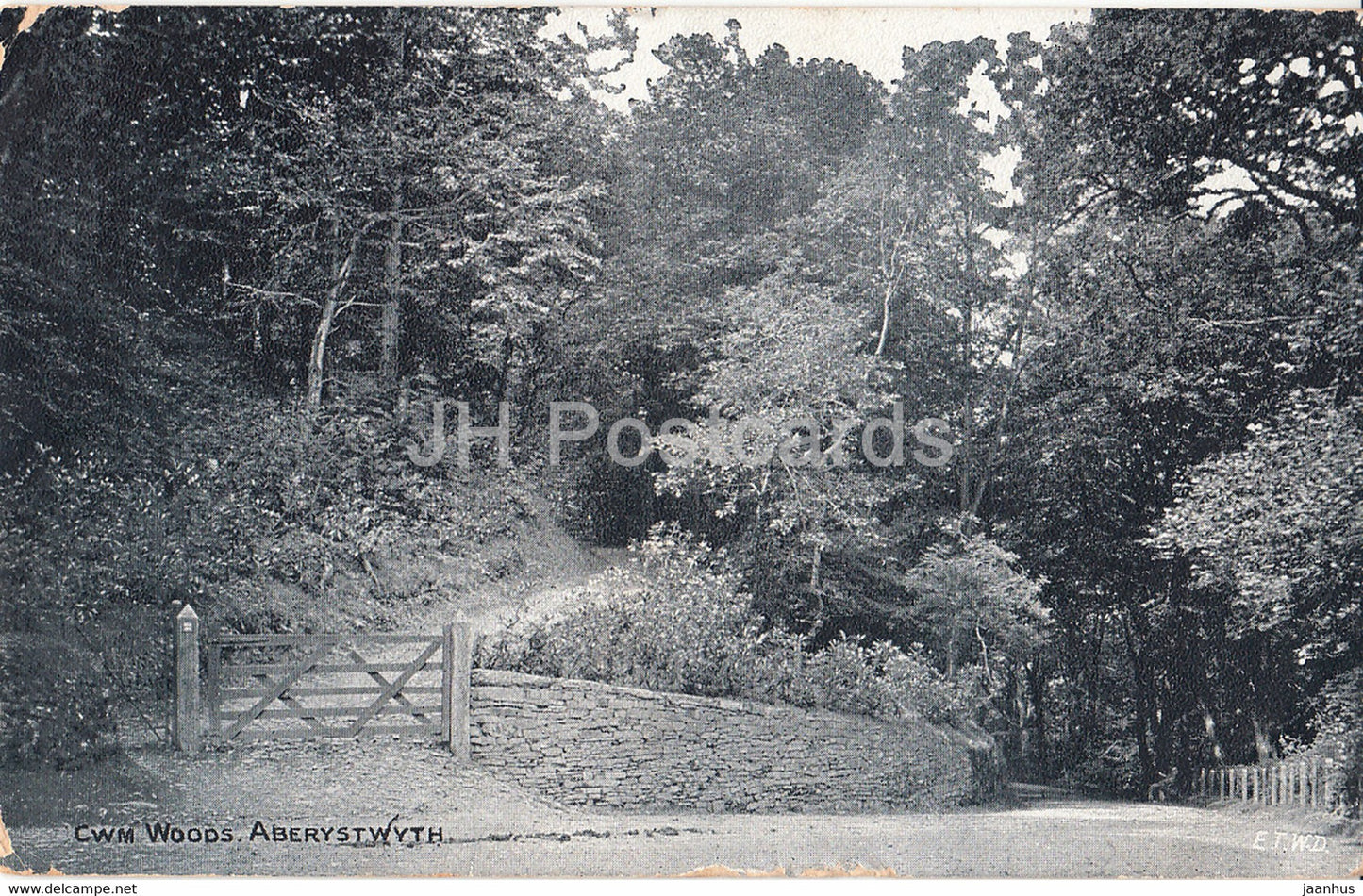 Aberystwyth - CWM Woods - old postcard - 1910 - Wales - United Kingdom - used - JH Postcards