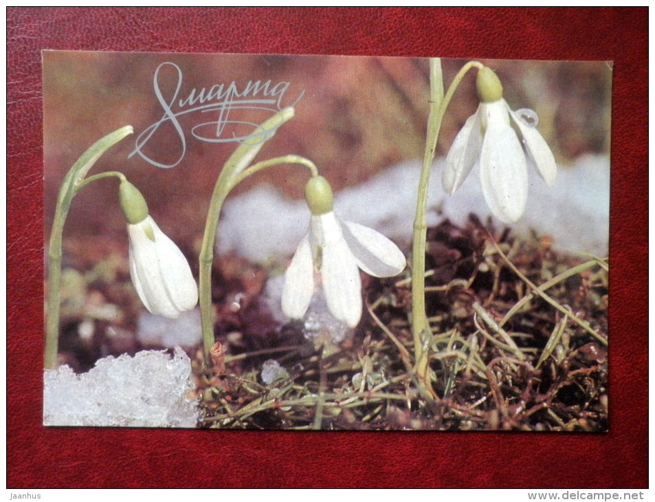 8 March Greeting Card - snowdrops - flowers - 1969 - Russia USSR - used - JH Postcards