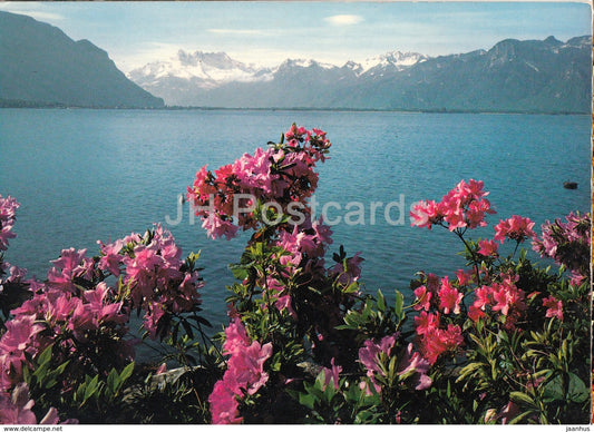 Montreux - lac Leman  et les Dents-du-Midi - 9540 - Switzerland - unused - JH Postcards