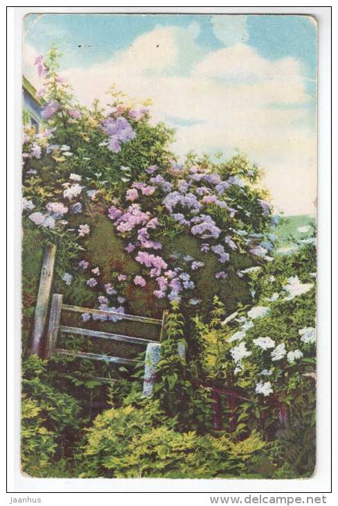 lilac - flowers - fence - HB 525 - old postcard - circulated in Estonia 1933 - used - JH Postcards