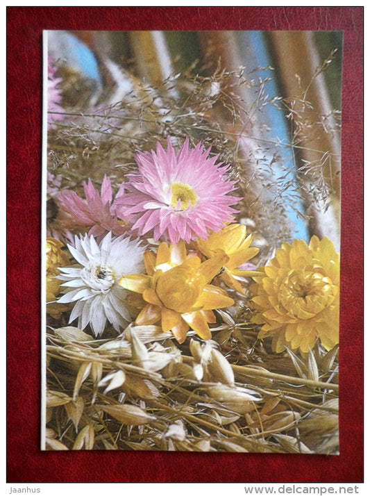 New Year Greeting card - flowers - 1986 - Estonia USSR - unused - JH Postcards