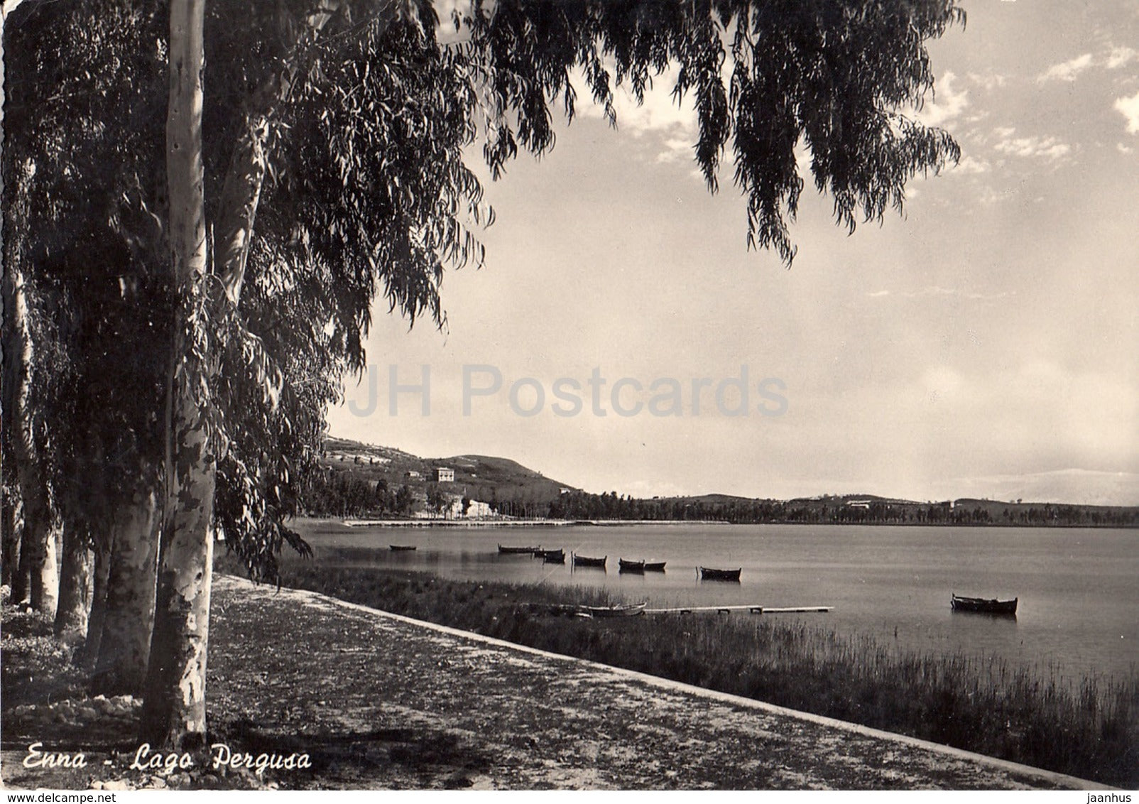 Enna - Lago Pergusa - lake - 1519 - Italy - old postcard - 1958 - used - JH Postcards