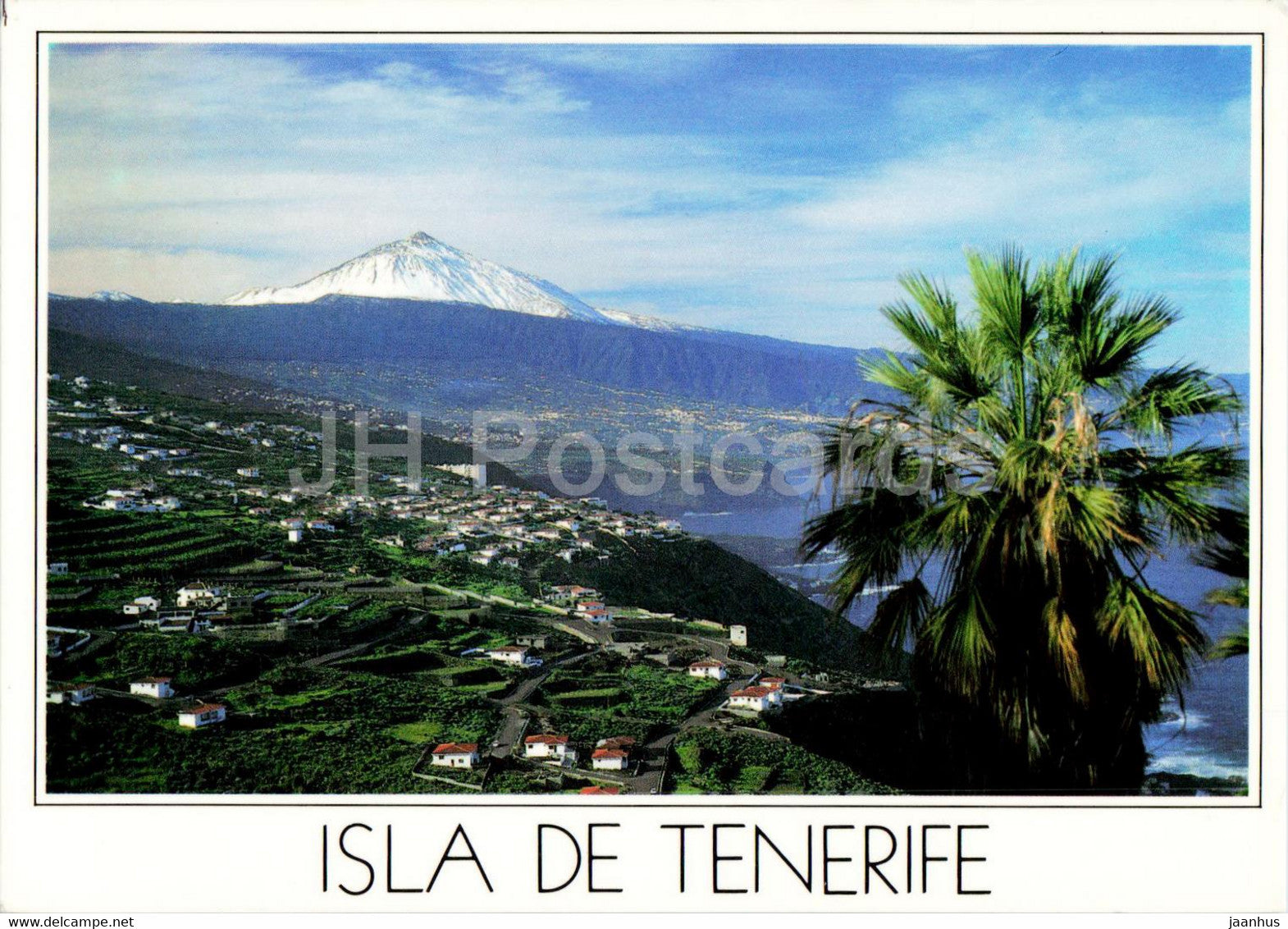 Isla de Tenerife - Valle de la Orotava - 2184 - Spain - unused - JH Postcards