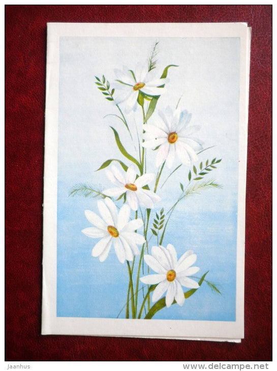 Greeting Card - by Z. Vasina - daisies - flowers - 1982 - Russia USSR - unused - JH Postcards