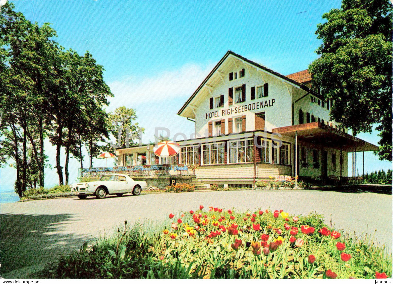 Hotel Rigi Seebodenalp - car - hotel - Switzerland - unused - JH Postcards