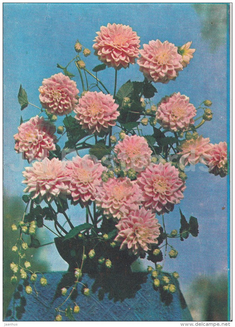 greeting card - chrysantemum - flowers - telegram - 1977 - Russia USSR - used - JH Postcards