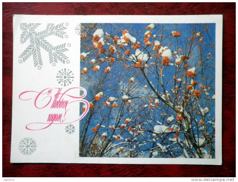 New Year greetings - winter nature - 1976 - Russia - USSR - unused - JH Postcards