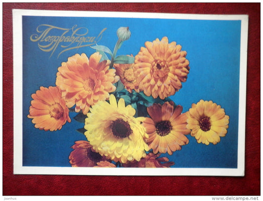 Greeting Card - yellow flowers - flowers - 1977 - Russia USSR - used - JH Postcards