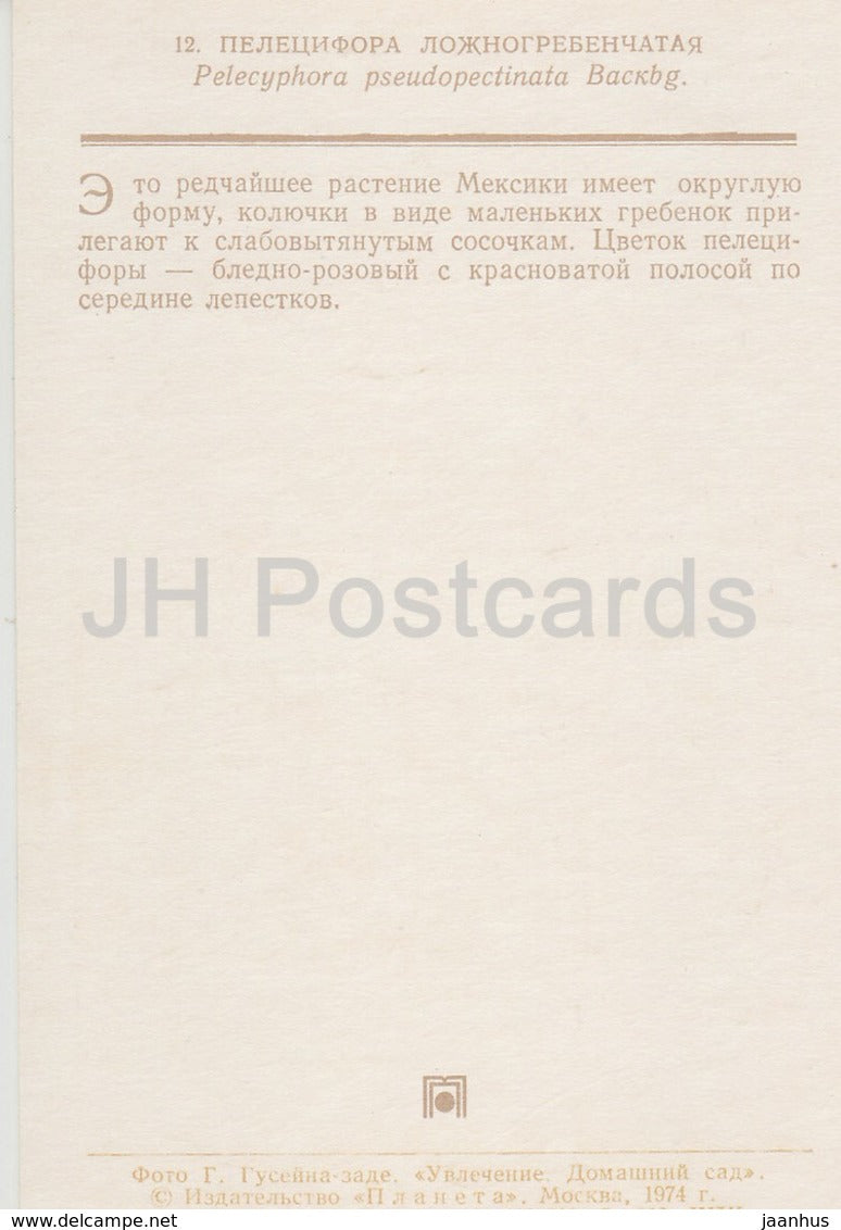 Pelecyphora pseudopectinata - Kaktus - Blumen - 1974 - Russland UdSSR - unbenutzt