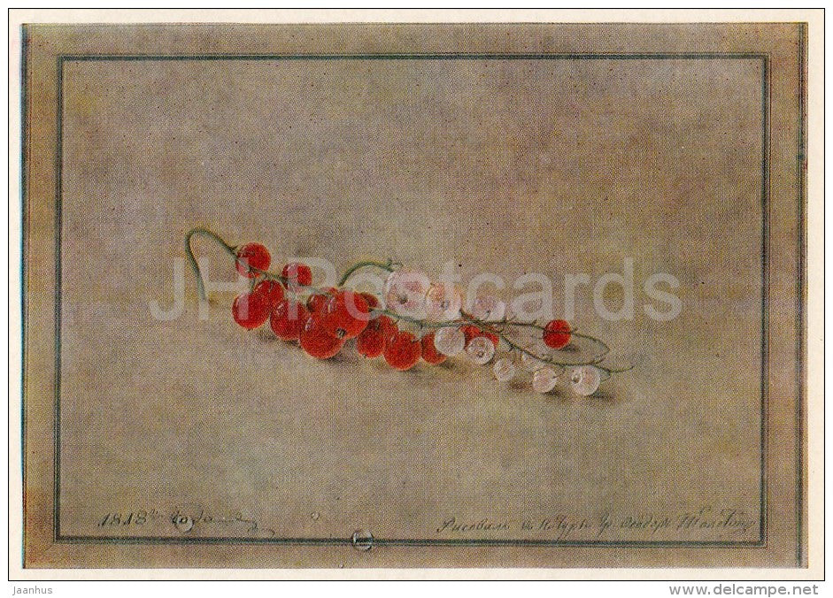 painting by F. Tosltoy - Red currant berries , 1818 - Still Life - Russian art - Russia USSR - 1981 - unused - JH Postcards