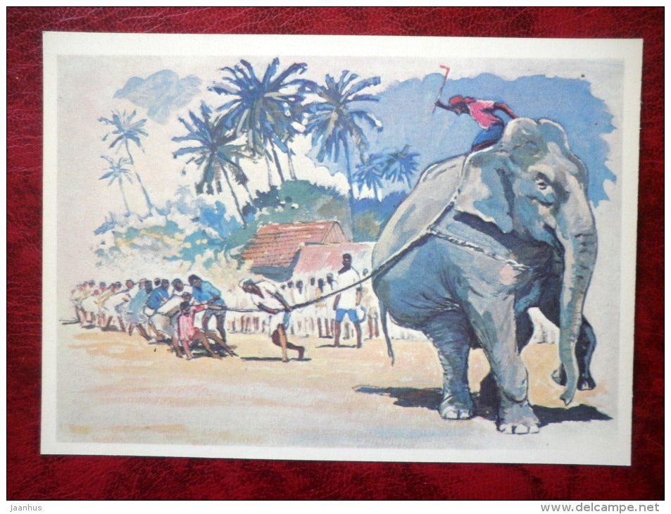 Tug of War - Illustration by P. Pavlinov - Thailand - elephant - games - 1981 - Russia USSR - unused - JH Postcards