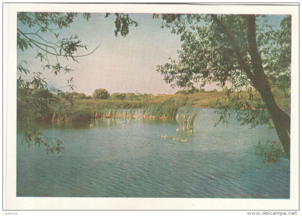 view of the pond and village Lermontovo - Lermontovo - 1961 - Russia USSR - unused - JH Postcards