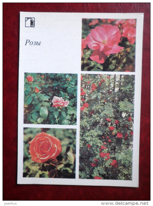 roses - Decorative flowers - 1987 - Russia USSR - unused - JH Postcards