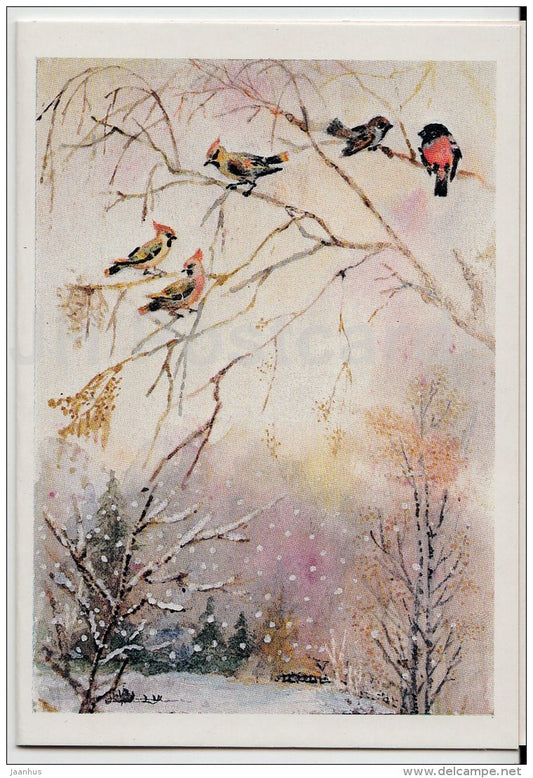 8 March International Women's Day mini greeting card by L. Manilova - bullfinch - birds - 1988 - Russia USSR - unused - JH Postcards