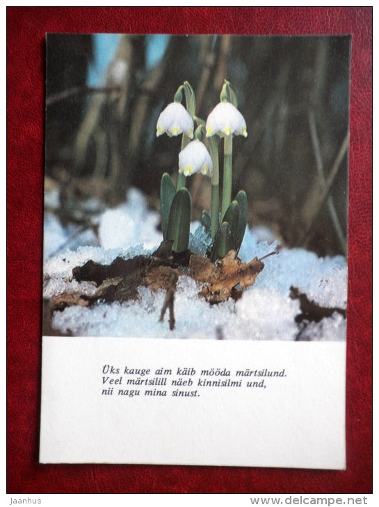 Greeting Card - snowflake - flowers - 1989 - Estonia USSR - used - JH Postcards