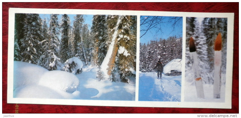 winter forest - skis - Barguzinsky Nature Reserve - near lake Baikal - 1975 - Russia USSR - unused - JH Postcards