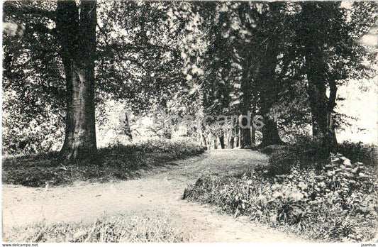 The Beeches - old postcard - 1944 - England - United Kingdom - used - JH Postcards