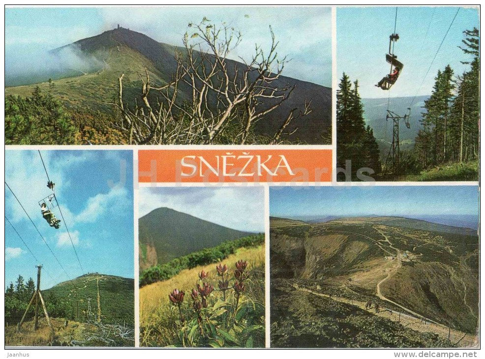 Krkonose - Snezka mountain - cable car - wild flowers - Czechoslovakia - Czech - used 1972 - JH Postcards