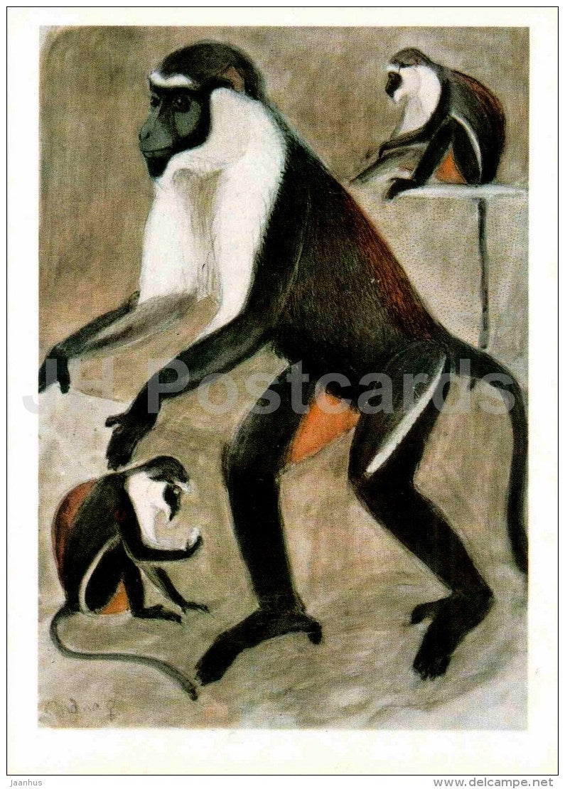 painting by Vasily Vatagin - Monkey - Russian art - 1978 - Russia USSR - unused - JH Postcards