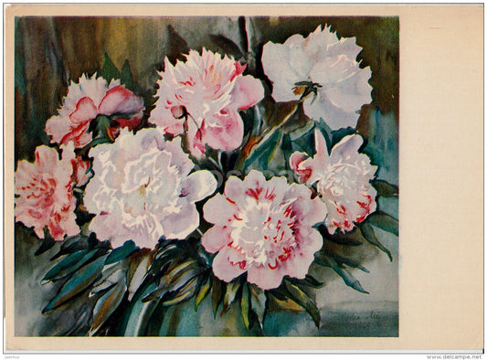 illustration by L. Starkopf-Mei - Peonies - flowers - 1966 - Estonia USSR - used - JH Postcards