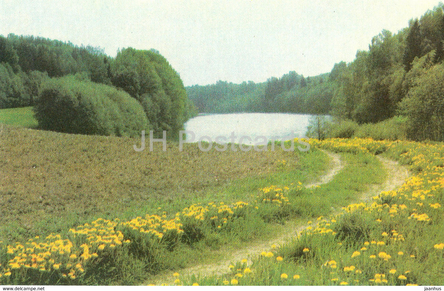 Latvian Nature - Lake Drusku - 1976 - Latvia USSR - unused - JH Postcards