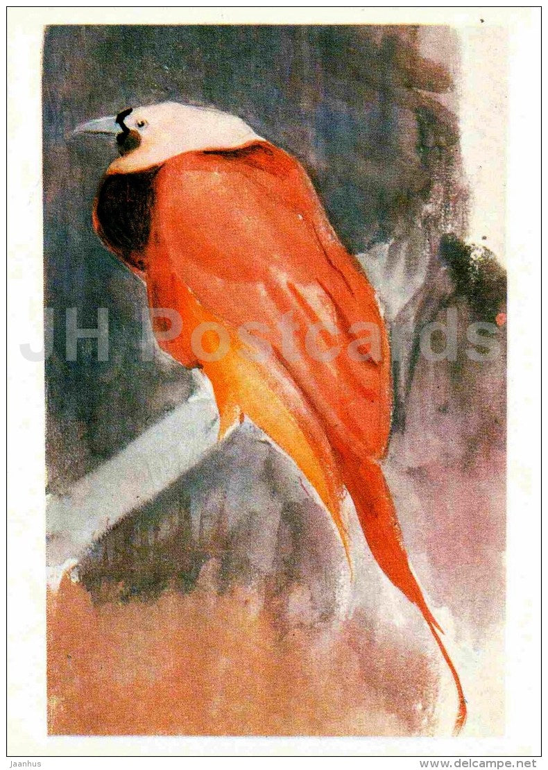 painting by Vasily Vatagin - Bird-of-paradise - Russian art - 1978 - Russia USSR - unused - JH Postcards