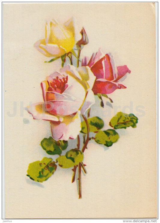 roses - illustration - flowers - 1976 - Estonia USSR - used - JH Postcards