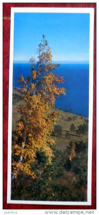 Autumnal landscape - birch - on Lake Baikal - 1975 - Russia USSR - unused - JH Postcards