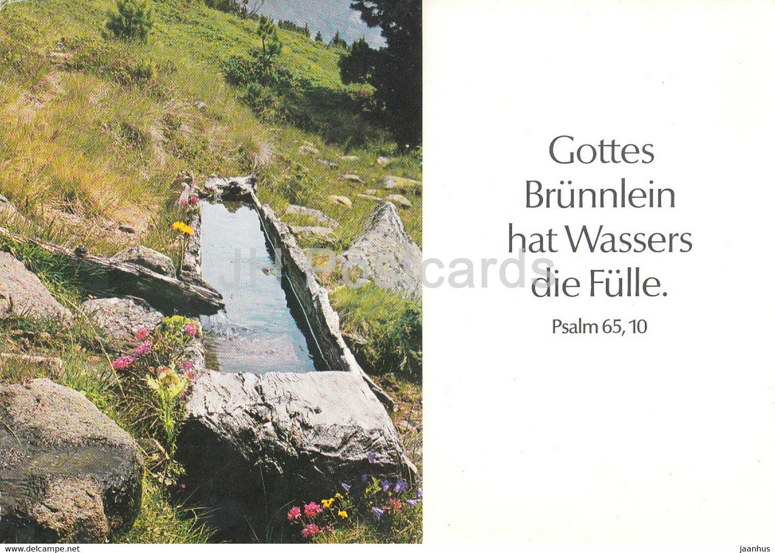 Gottes Brunnlein hat Wassers Fulle - Psalm - 1980 - Germany - used - JH Postcards