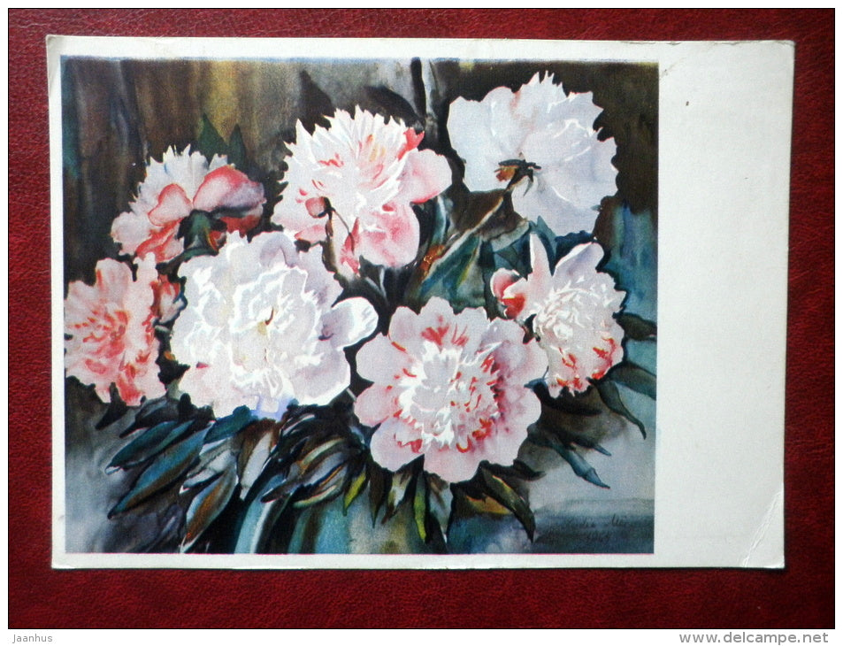 Greeting Card - by L. Starkopf-Mei - white peonies - flowers - 1966 - Estonia USSR - used - JH Postcards