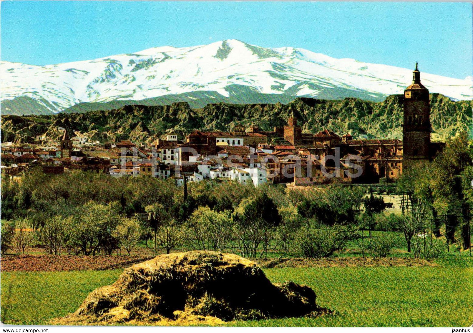 Granada - Catedral de Guadix y Sierra Nevada - cathedral - 147 - Spain - unused - JH Postcards