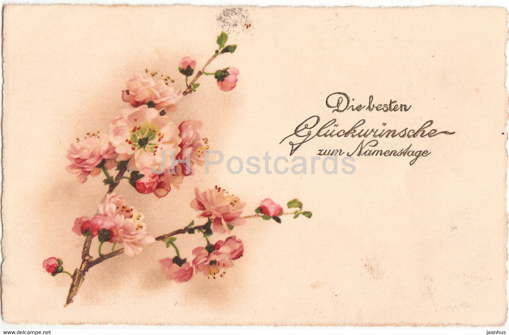 Greeting Card - Die besten Gluckwunsche zum Namenstage - blossoms - PP - old postcard - 1925 - Germany - unused - JH Postcards