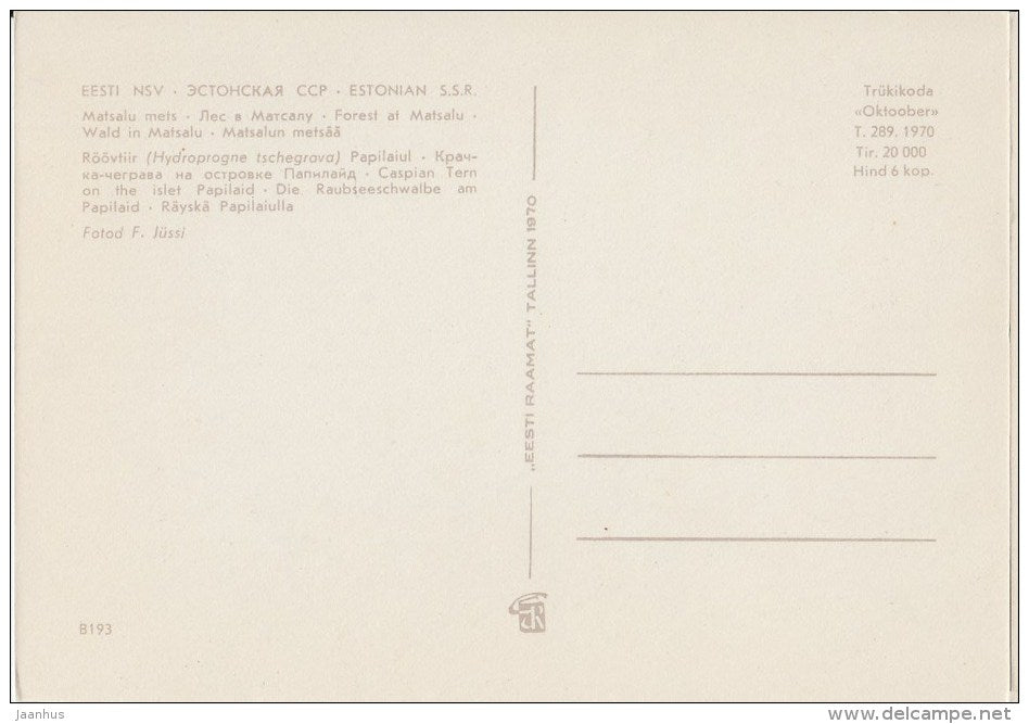 Forest at Matsalu - Caspian tern , Hydroprogne caspia - birds - 1970 - Estonia USSR - unused - JH Postcards