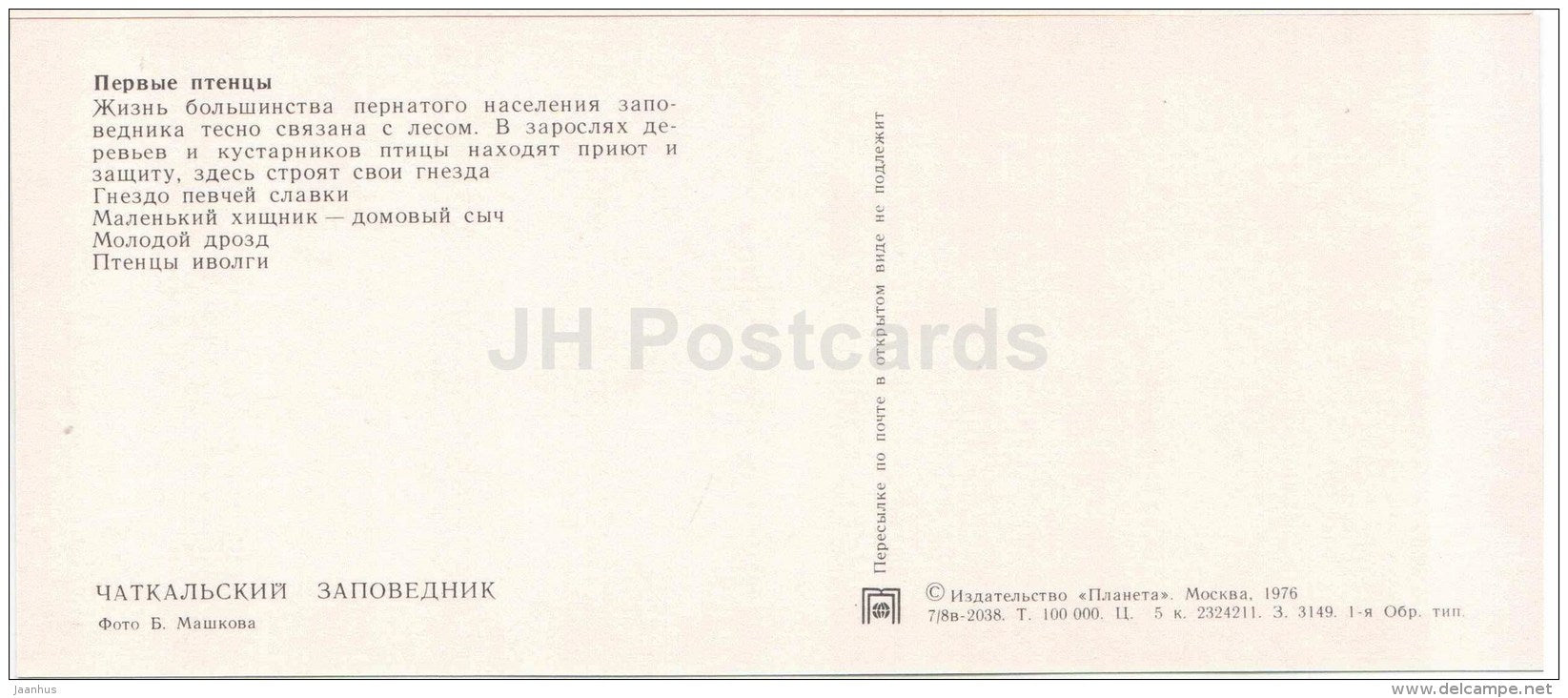 Little owl - Athene noctua - birds - Chatkalsky National Park - 1976 - Uzbekistan USSR - unused - JH Postcards