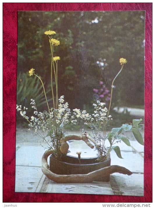 flower composition . Little Party - Spotted Cat´s Ear - 1983 - Estonia USSR - unused - JH Postcards