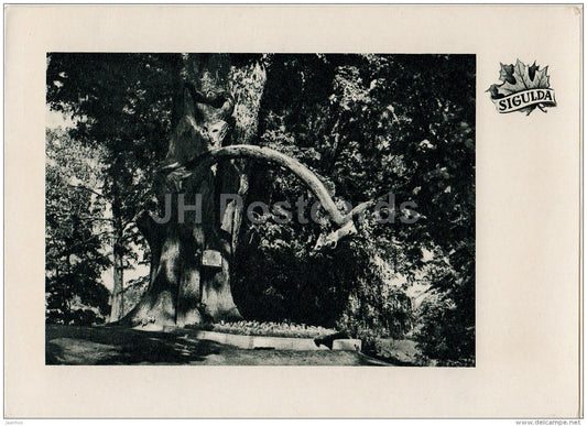 grave of Turaida´s Rose - Sigulda - old postcard - Latvia USSR - unused - JH Postcards