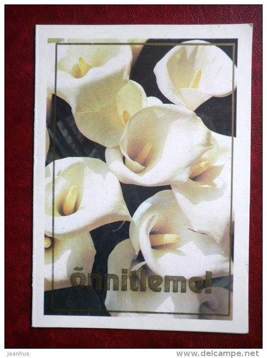 Greeting card - calla - flowers - 1982 - Estonia USSR - used - JH Postcards