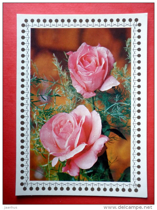 pink roses 1 - flowers - Czechoslovakia - unused - JH Postcards