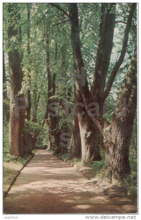 Anne Kern alley - Mikhaylovskoye Museum Reserve - Pushkin - 1970 - Russia USSR - unused - JH Postcards