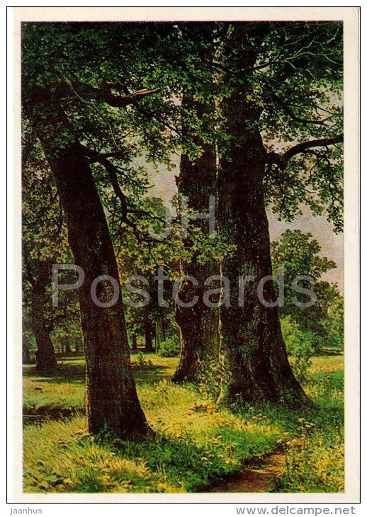 painting by I. Shishkin - Oak-trees , 1887 - nature - russian art - unused - JH Postcards